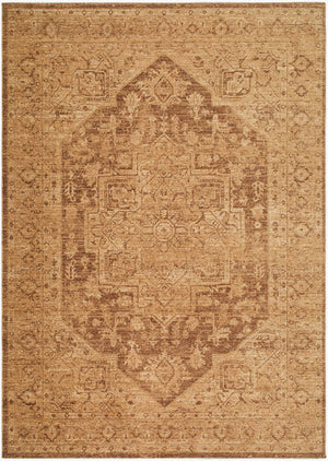 Allyn Traditional Brown Area Rug