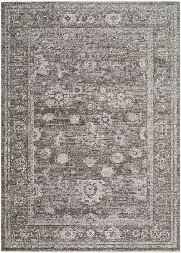 Colisha Traditional Medium Gray Area Rug
