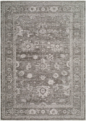 Colisha Traditional Medium Gray Area Rug