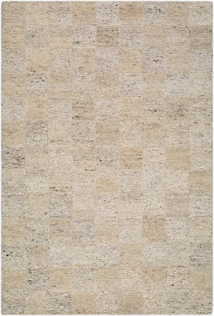 Rafayel Global Sandstone Area Rug