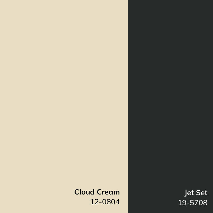 Architect Modern Ivory/Black Area Rug - Galey Alix Livabliss