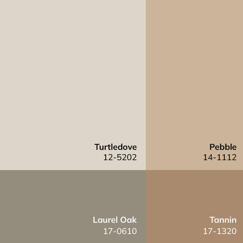 Fetscher Traditional Tan Area Rug - Galey Alix Livabliss