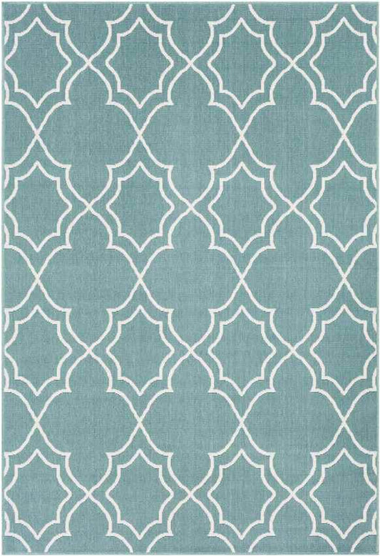 Liam Cottage Teal Area Rug
