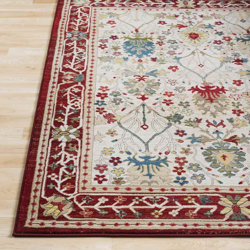 Aaden Traditional Cream Red Area Rug