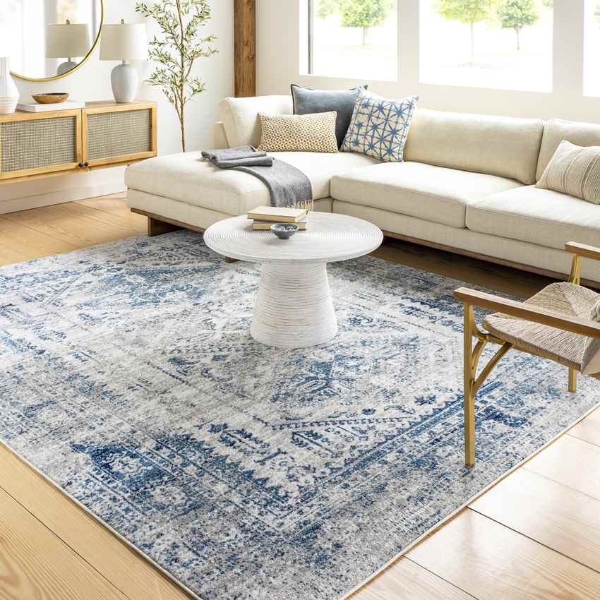 Jules Traditional Sky Blue Light Gray White Navy Area Rug