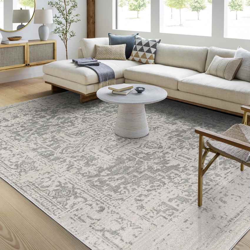 Amelia Traditional Charcoal Light Gray Beige Area Rug