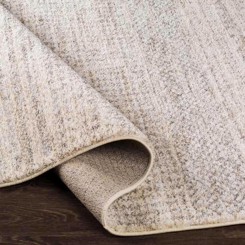 Oliver Modern Ivory Area Rug - Stylish & Must Have