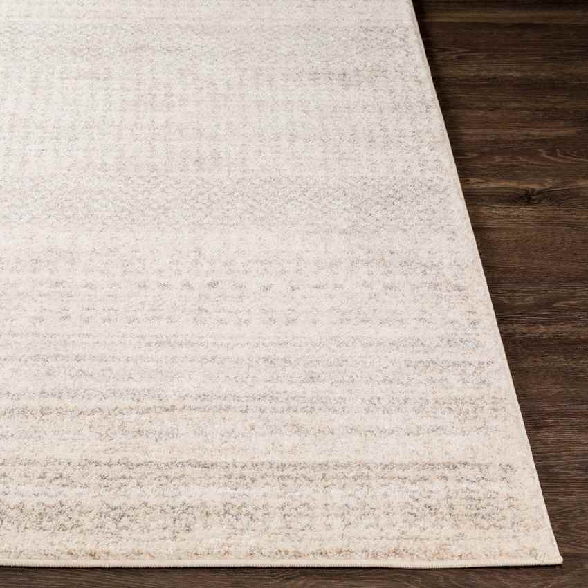 Oliver Modern Ivory Area Rug - Stylish & Must Have