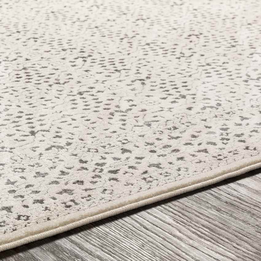 Caen Traditional Gray/Charcoal Area Rug