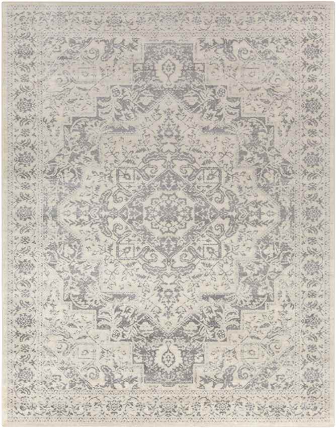 Troyes Traditional Medium Gray Area Rug