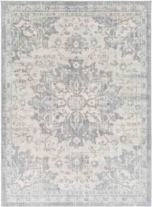 Clichy Traditional Medium Gray Area Rug