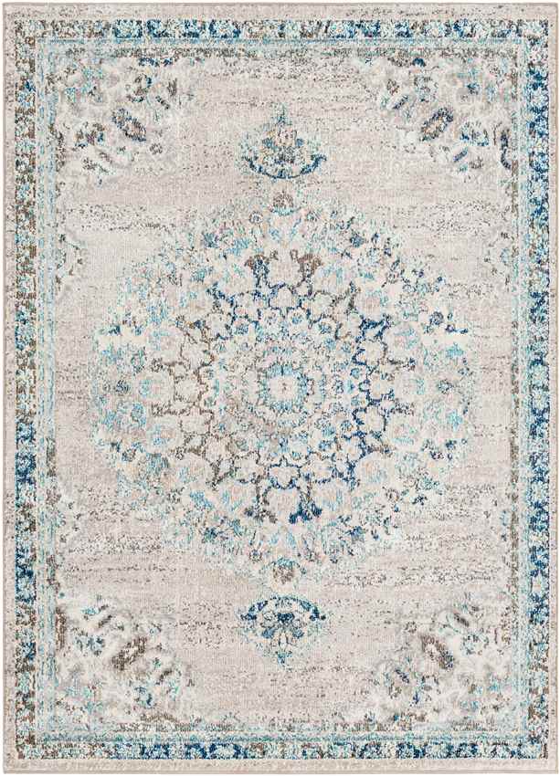 Puteaux Traditional Light Gray Area Rug