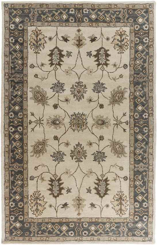Trappes Traditional Khaki Area Rug