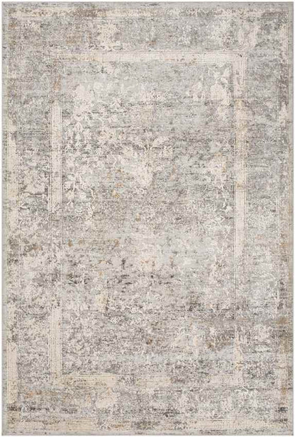 Dieppe Traditional Light Gray Area Rug