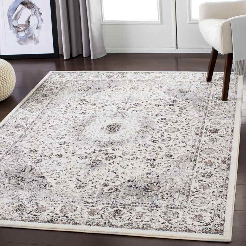 Vanves Traditional Charcoal Area Rug