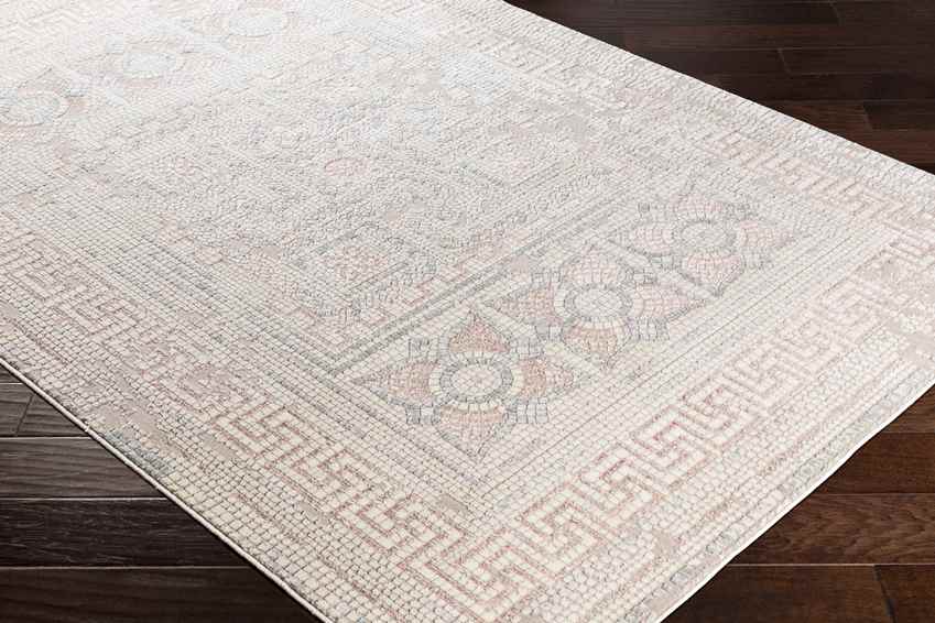 Herblay Traditional Rose Area Rug