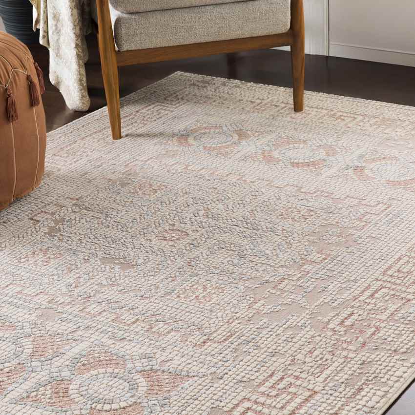 Herblay Traditional Rose Area Rug