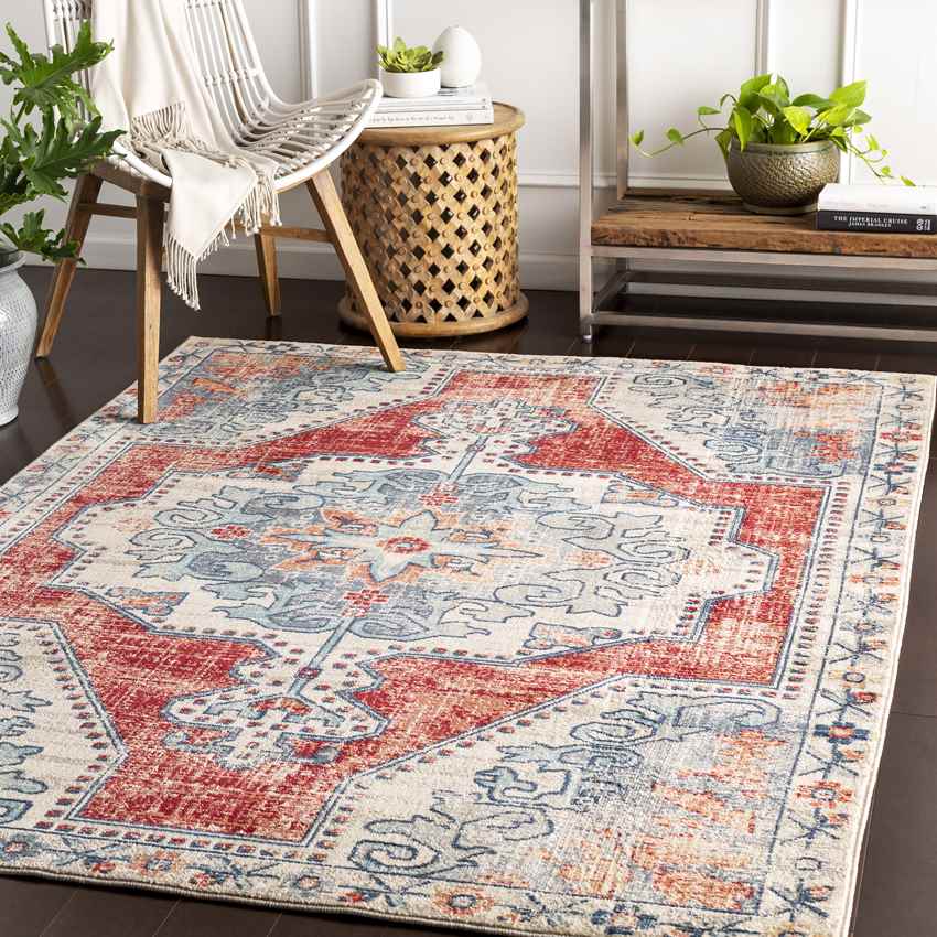 Henry Traditional Bright Red Area Rug - Bold Statement
