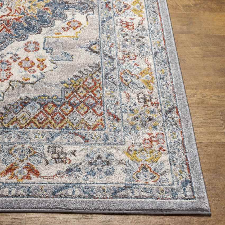 Var Traditional Gray Area Rug - Classic Elegance