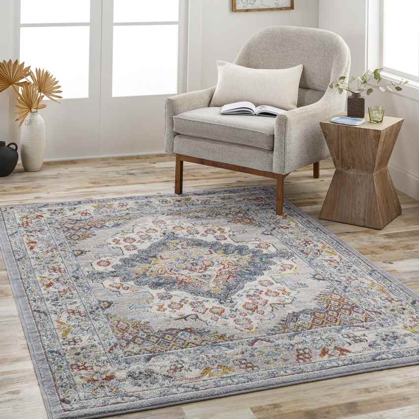 Var Traditional Gray Area Rug - Classic Elegance