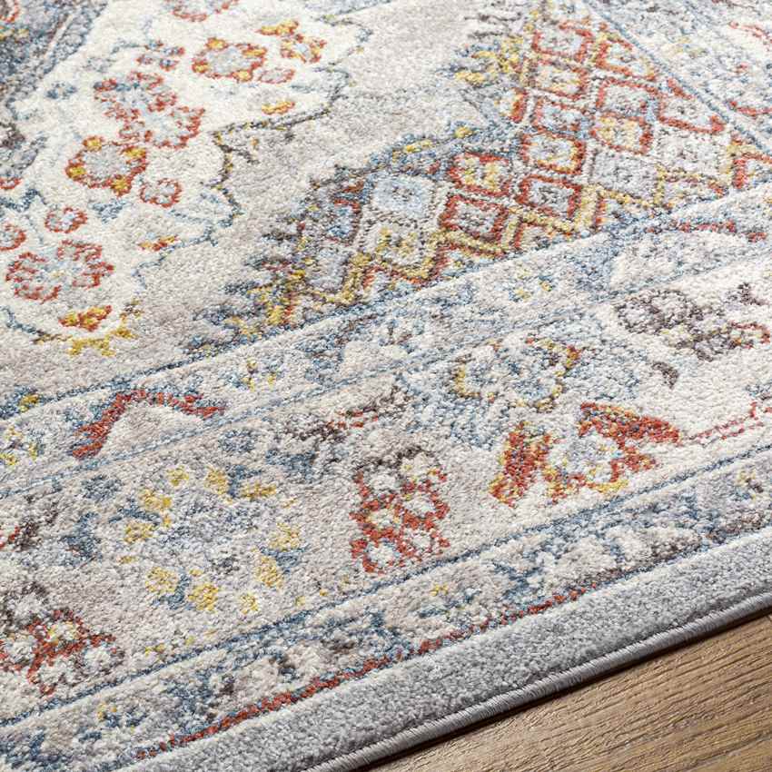 Var Traditional Gray Area Rug - Classic Elegance