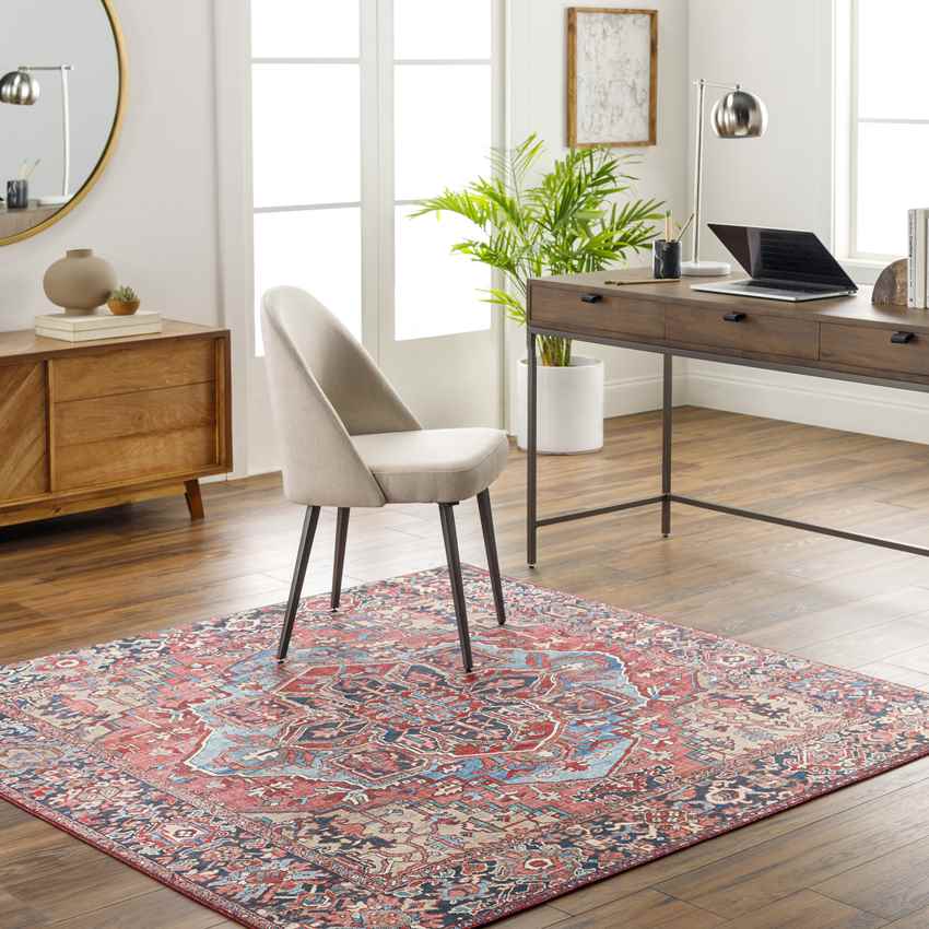 Manche Traditional Bright Multi-Colored Area Rug