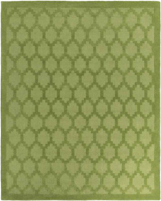 Ames Modern Green Area Rug