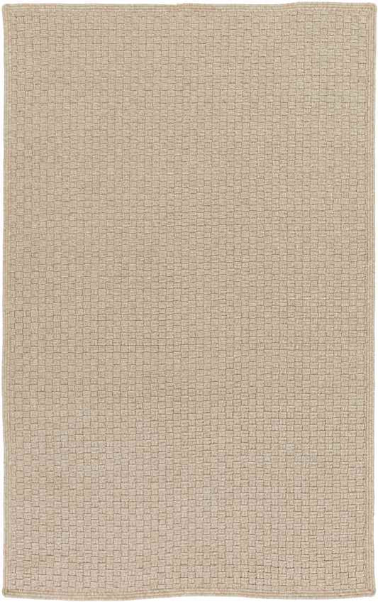Thaya Modern Beige Area Rug