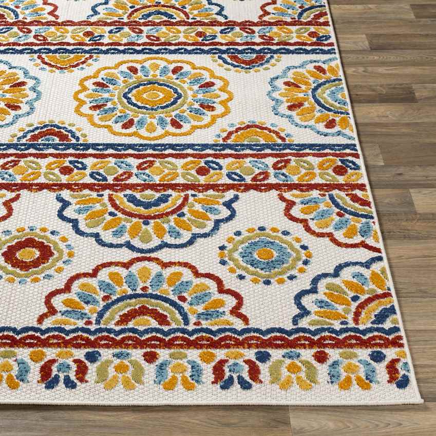 Royal Transitional Rust Area Rug