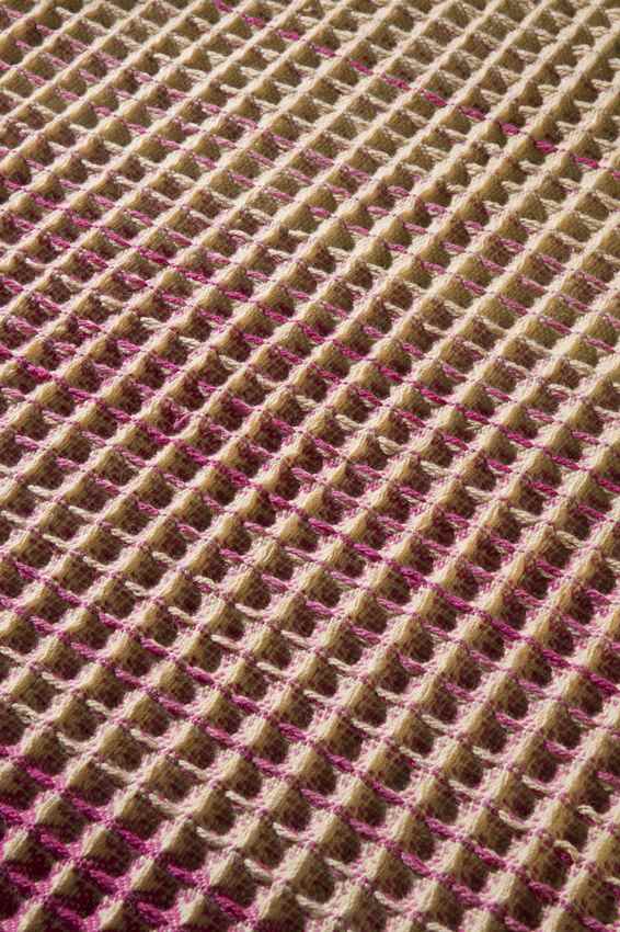 Garden Modern Hot Pink Area Rug
