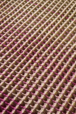 Garden Modern Hot Pink Area Rug