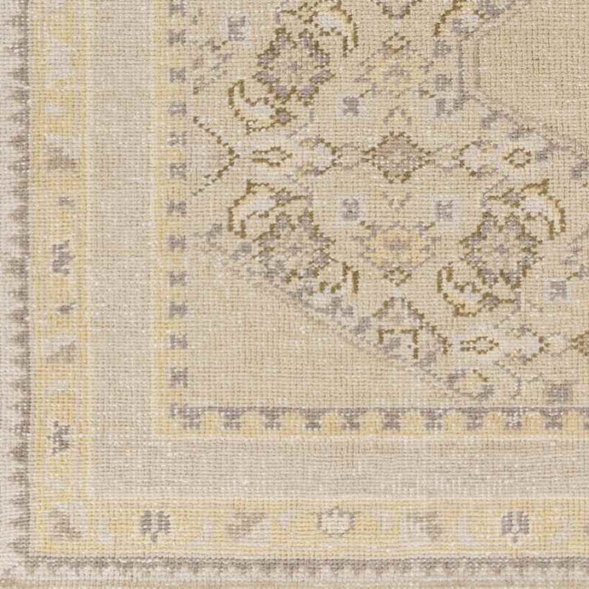 Scafati Traditional Beige Area Rug
