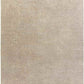 Somerton Solid and Border Taupe Area Rug