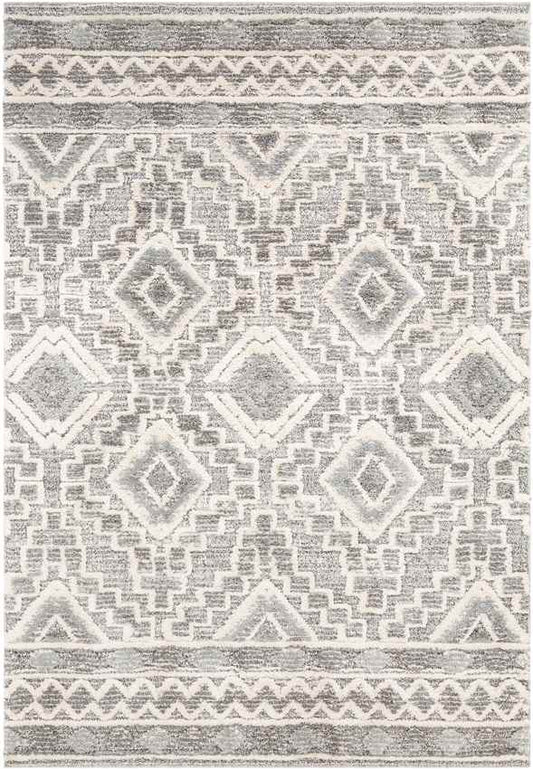 Sudbury Global Medium Gray Area Rug
