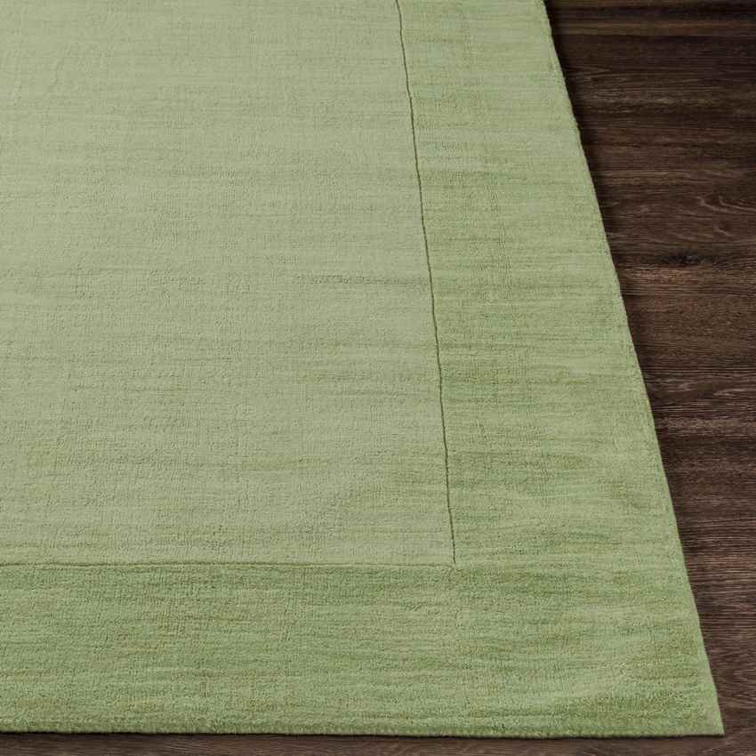 Reims Solid and Border Grass Green Area Rug