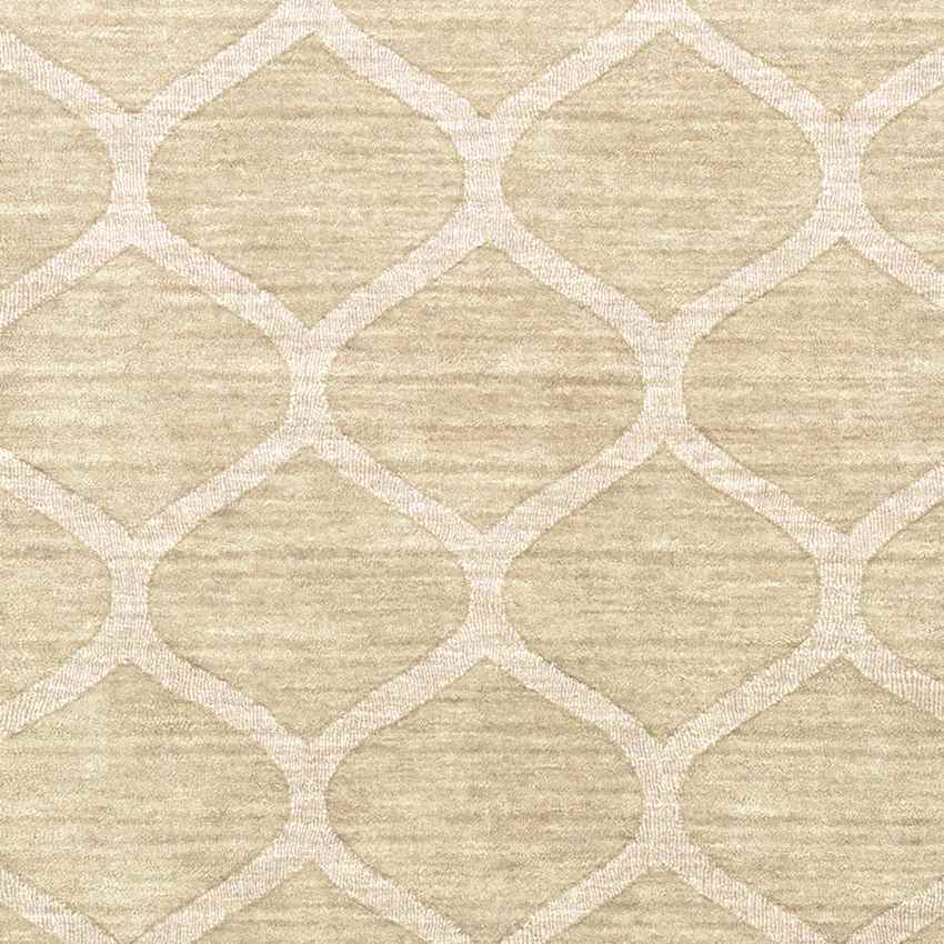 Vulcan Solid and Border Cream Area Rug