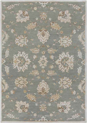 Beresford Traditional Medium Gray Area Rug