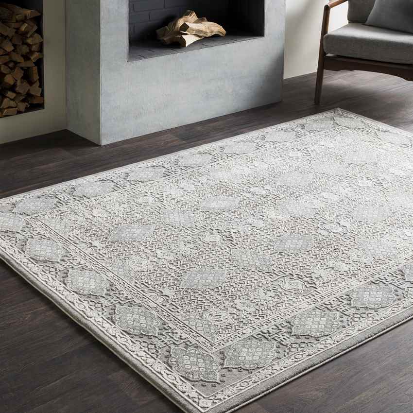 Paradise Traditional Taupe Area Rug