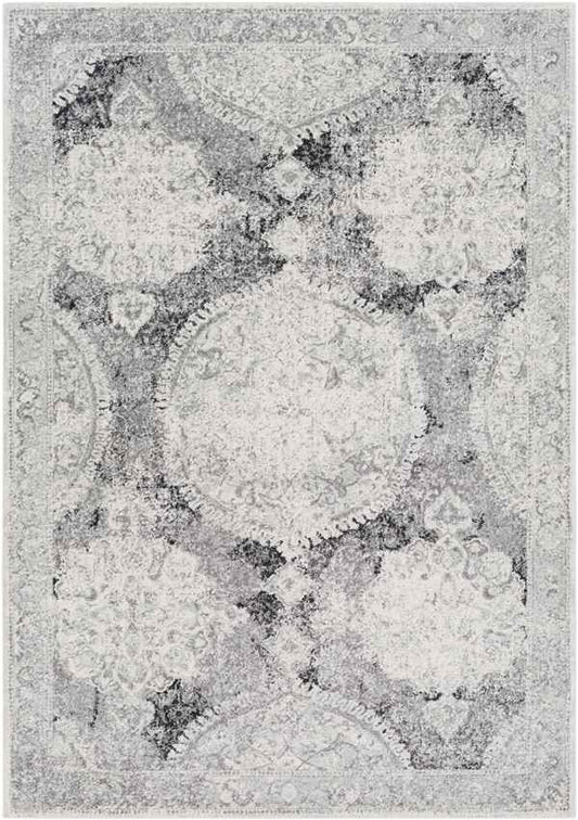 Placentia Traditional Light Gray Area Rug