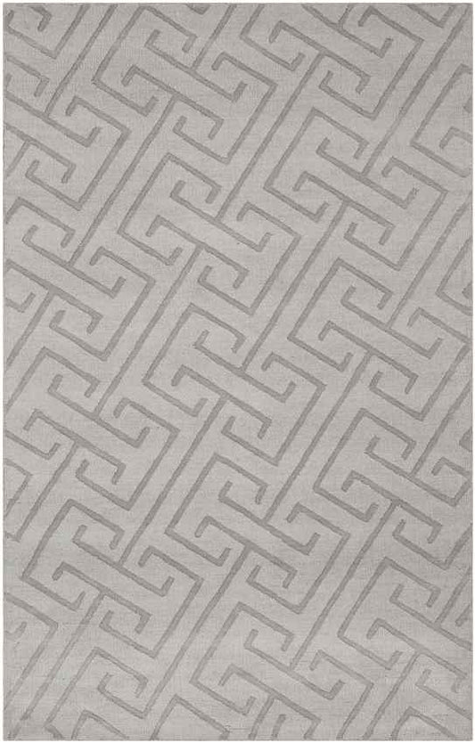 Kearney Modern Light Gray Area Rug