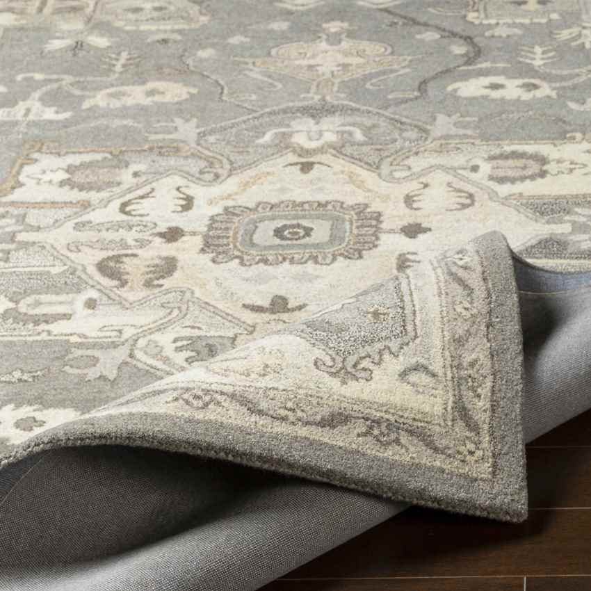Roblin Traditional Taupe Area Rug