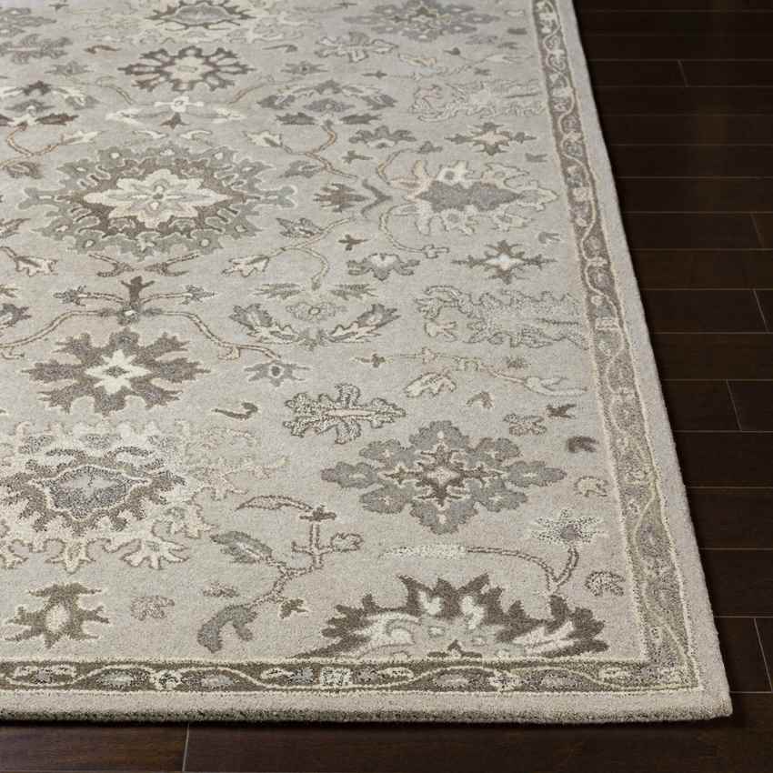 Ness Traditional Taupe Area Rug