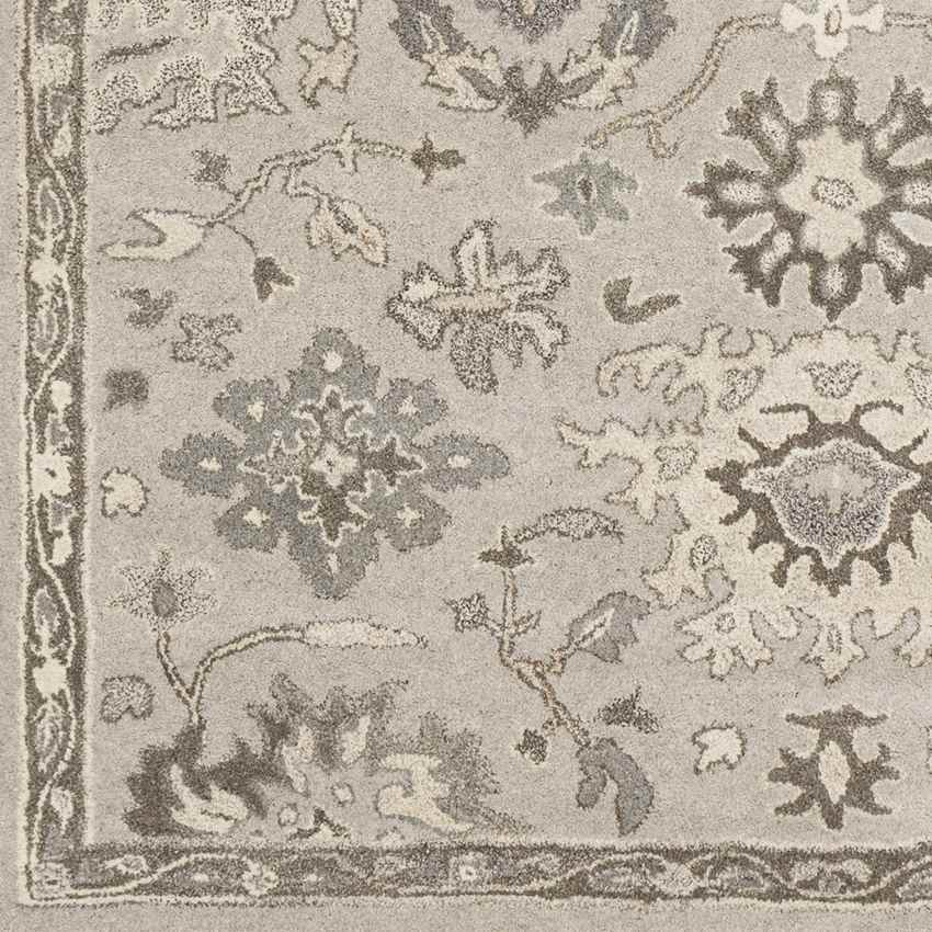 Ness Traditional Taupe Area Rug