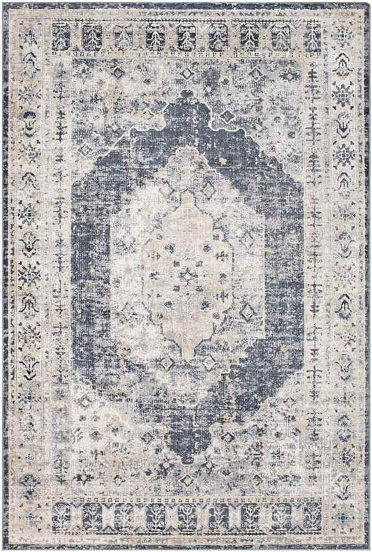 Paesens Traditional Taupe Area Rug