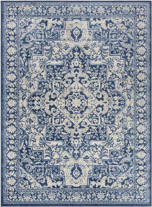 Troyes Traditional Bright Blue Area Rug