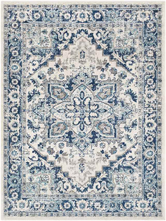 Cannock Traditional Aqua Area Rug