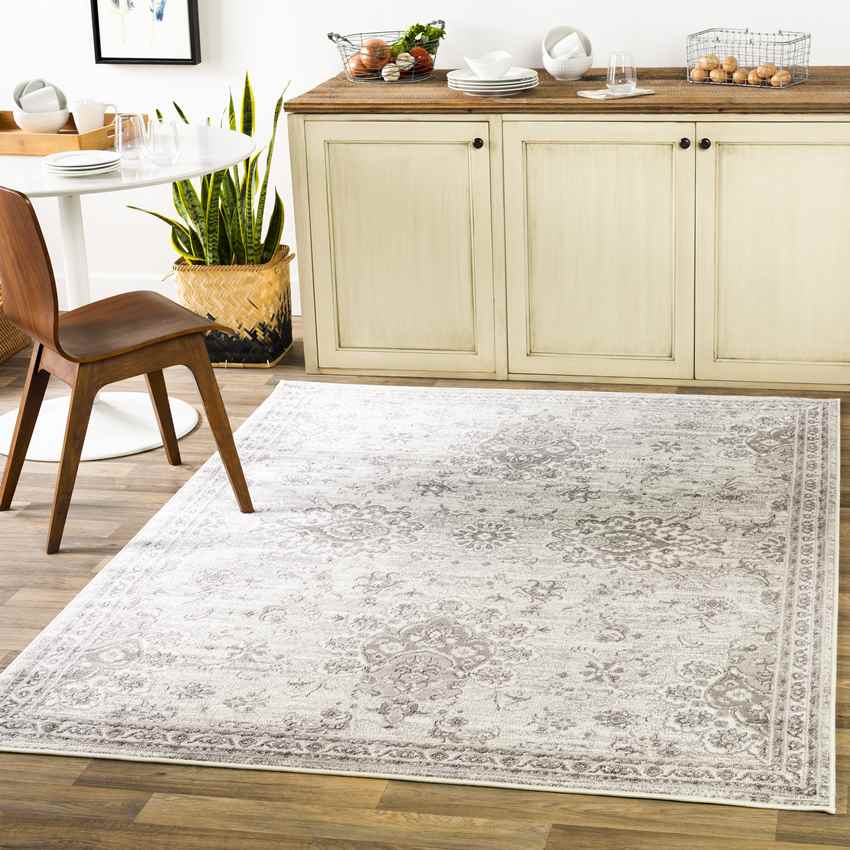 Woudsend Transitional Light Gray Area Rug