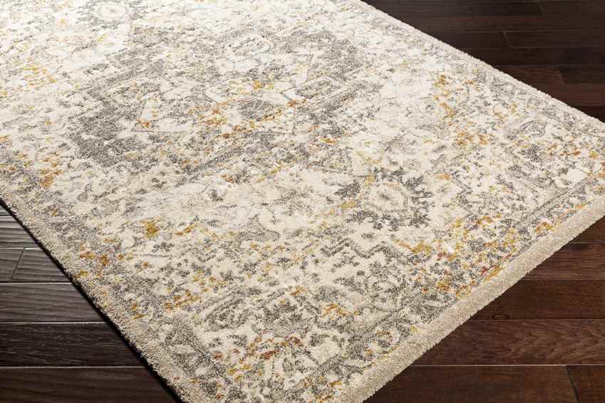 Annen Traditional Metallic Champagne Area Rug