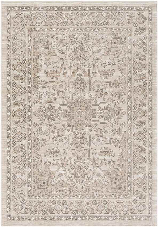 Darp Traditional Charcoal Area Rug