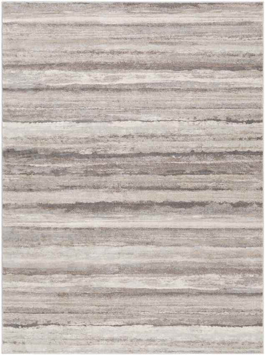 Ermerveen Modern Medium Gray Area Rug